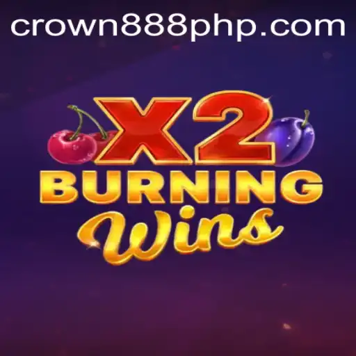 Exploring the Exciting Features and Gameplay of BurningWinsX2